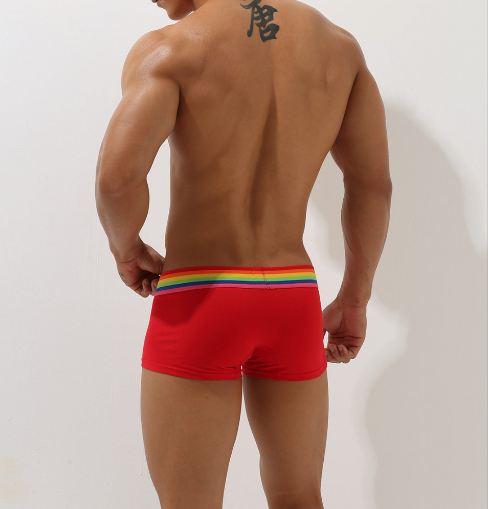 Boxer Vermelho Homem SEOBEAN Rainbow