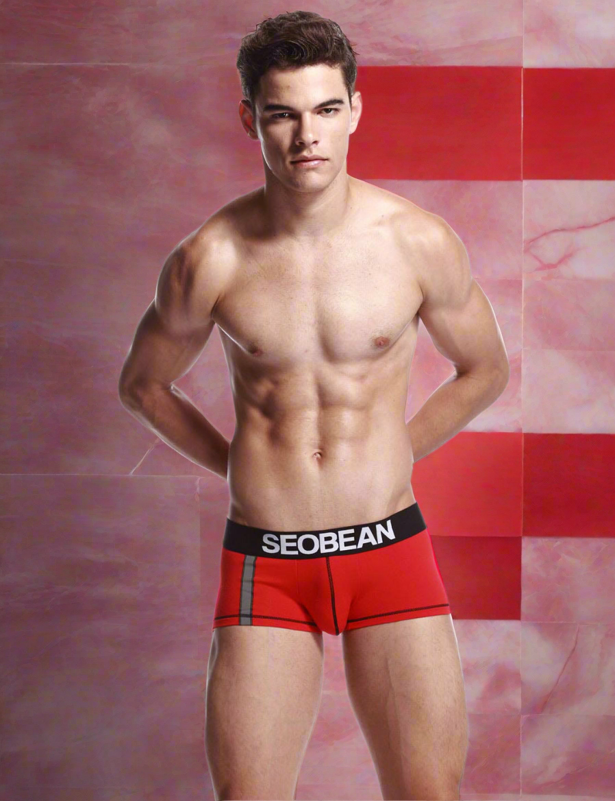 Men's Boxer SEOBEAN 