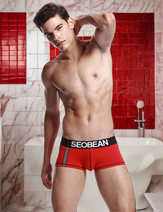 Boxer Rouge Homme SEOBEAN