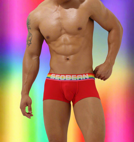 Boxer Rouge Homme SEOBEAN Rainbow