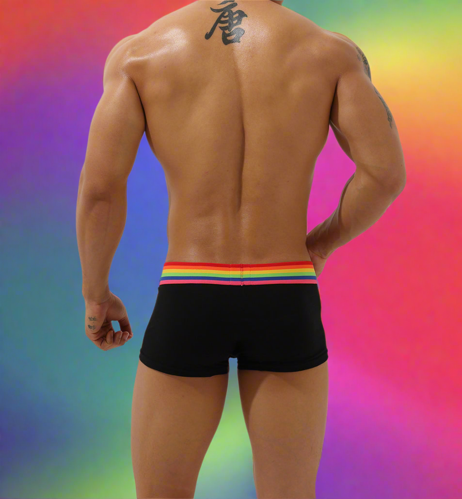 Boxer Preto Homem SEOBEAN Rainbow